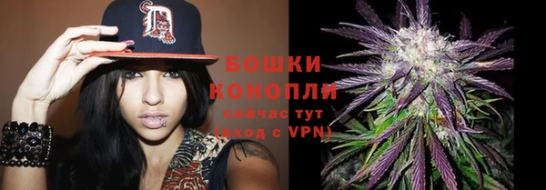 крисы Гусь-Хрустальный