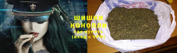 СК Гусев