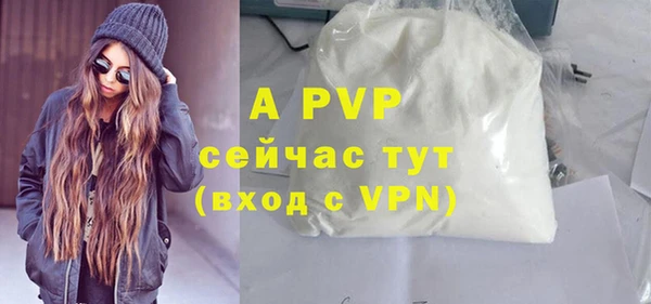СК Гусев