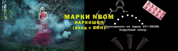 гидропоника Дмитриев