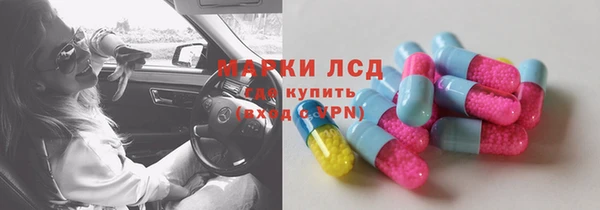 СК Гусев