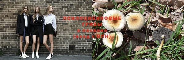 гашишное масло Гусиноозёрск
