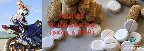 СК Гусев