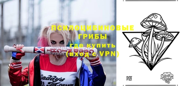 СК Гусев